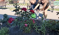 Вода вместо слёз