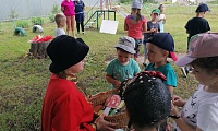 На природу за загадками