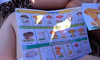 Кто в лесу живет, что в лесу растет