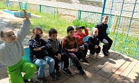 Зеленые загадки, что растут на грядке