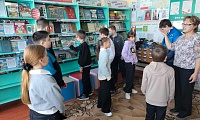 Тайны книжных полок