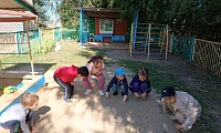 День журавля