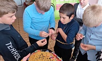 Семья — это крепость