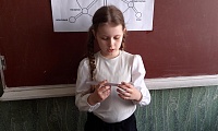 Сказка мудростью богата