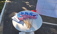Россия - Родина моя