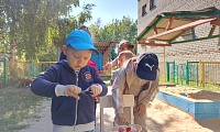 День журавля