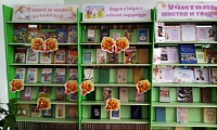 Курганская сельская библиотека