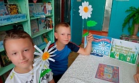 Ромашки нежный лепесток