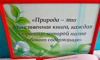 мир дикой природы
