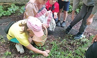 Лес полон чудес