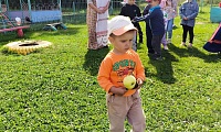 Яблочные потешки