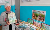 Удивительный мир дикой природы