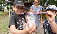 Хрупкое волшебство