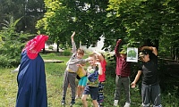 Лес полон чудес