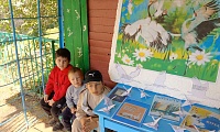 День журавля