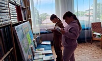Земля у нас одна