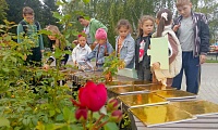Волшебный мир сказок