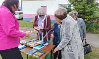 Лето во дворе