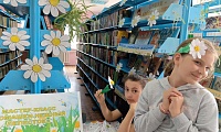 Ромашки нежный лепесток