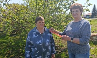 Георгиевская ленточка