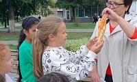 Волшебный мир сказок