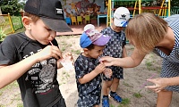Хрупкое волшебство