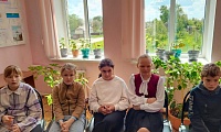 Семья — это крепость