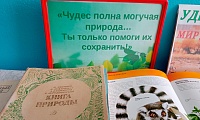 мир дикой природы