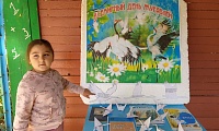 День журавля
