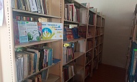 Владыкинская сельская библиотека