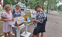 Маша и лето