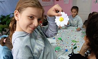 Ромашки нежный лепесток