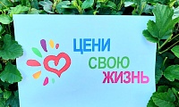 Жизнь - высшая ценность