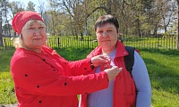 Георгиевская ленточка