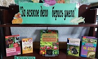 За каждое дело берись умело