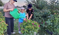 Вода вместо слёз