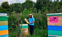 Малиновская сельская библиотека