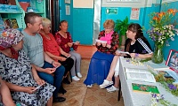 Чудеса в летнюю ночь