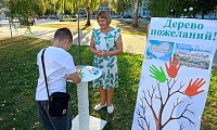 Библиотека в городском пейзаже