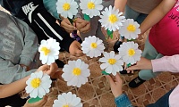 Ромашки нежный лепесток