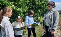 Чудеса природы