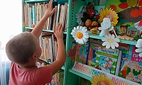 Здесь живут книги