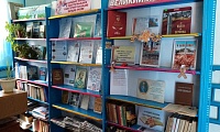 Ерышевская сельская библиотека