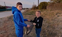 Очистим планету от мусора