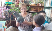 Тайны книжных полок