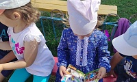 Прикосновение книжного лета