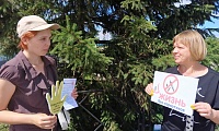 Во весь голос о наркотиках