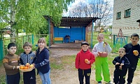 Зеленые загадки, что растут на грядке