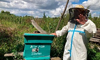 Малиновская сельская библиотека
