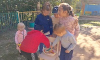 День журавля